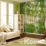 Birkeskov sunday - Køb billig fototapet af en grøn birkeskov fra Komar