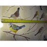 Små fugle wallstickers med fugle på grene til at klistre på væggen Små fugle wallstickers med fugle på grene til at klistre på væggen