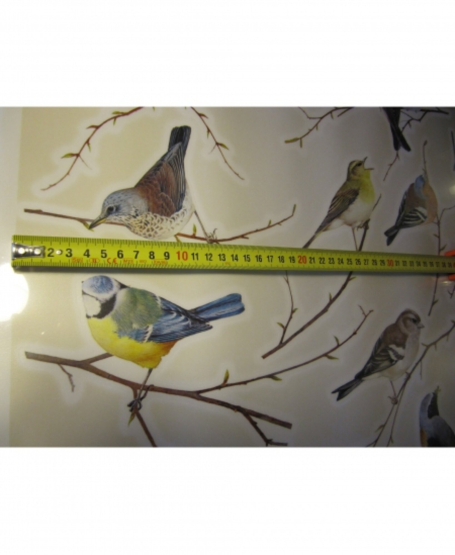 Små fugle wallstickers med fugle på grene til at klistre på væggen