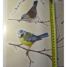 Små fugle wallstickers med fugle på grene til at klistre på væggen Små fugle wallstickers med fugle på grene til at klistre på væggen