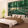 Bøgeskov med neutral solnedgang - Køb non-woven fototapet Bøgeskov med neutral solnedgang - Køb non-woven fototapet