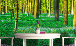 Grøn bøgeskov med blomstrende skovbund - Køb non-woven fototapet