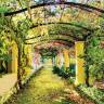Pergola med blomstrende slyngplanter - Køb non-woven fototapet Pergola med blomstrende slyngplanter - Køb non-woven fototapet