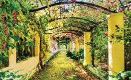 Pergola med blomstrende slyngplanter - Køb non-woven fototapet