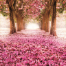 Magnolia allé fototapet non-woven - Køb kvalitets fototapet m. blade Magnolia allé fototapet non-woven - Køb kvalitets fototapet m. blade