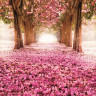 Magnolia allé fototapet non-woven - Køb kvalitets fototapet m. blade Magnolia allé fototapet non-woven - Køb kvalitets fototapet m. blade