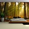 Skov med grantræer og solnedgang - Køb non-woven fototapet Skov med grantræer og solnedgang - Køb non-woven fototapet