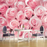 Lyserøde roser - Køb non-woven fototapet med store pink roser på Lyserøde roser - Køb non-woven fototapet med store pink roser på