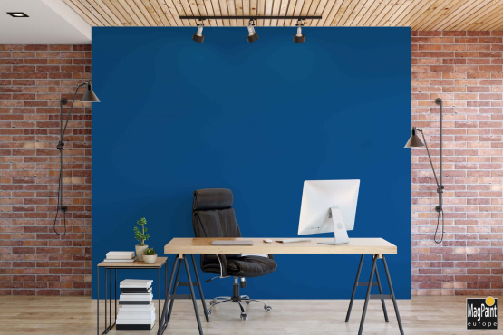 Blue Screen maling 1L vandbaseret - Køb blå maling og fjern baggrunde
