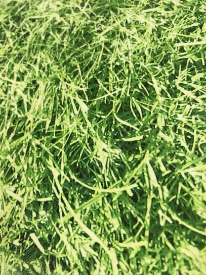 Grønt græs Klæbefolie 45cm. 2 meter - Selvklæbende folie m. græs
