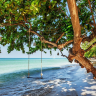 Strand med gynge og træ Non-woven - Køb fototapet online