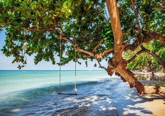 Strand med gynge og træ Non-woven - Køb fototapet online