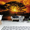 Solnedgang over savanne - Køb flotte fototapeter her!