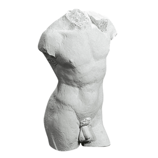 Mande Torso 50 cm. - Køb flot figur statue af nøgen mandetorso