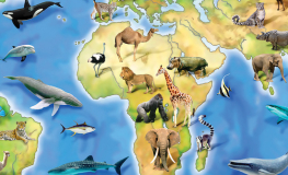 Verdenskort med dyr - Flot fototapet med dyr på verdenskortet