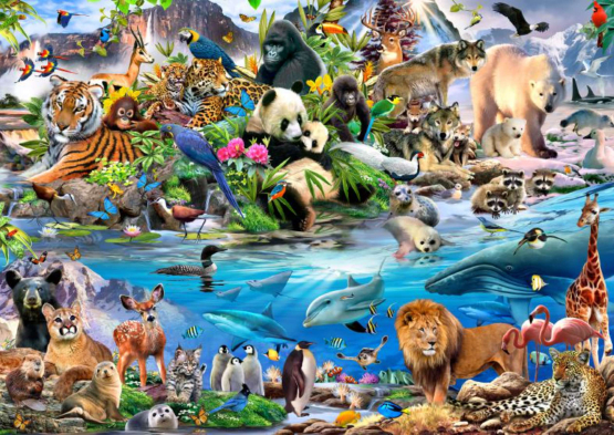 Alverdens vilde dyr - Flot fototapet med billedet af masser af dyr