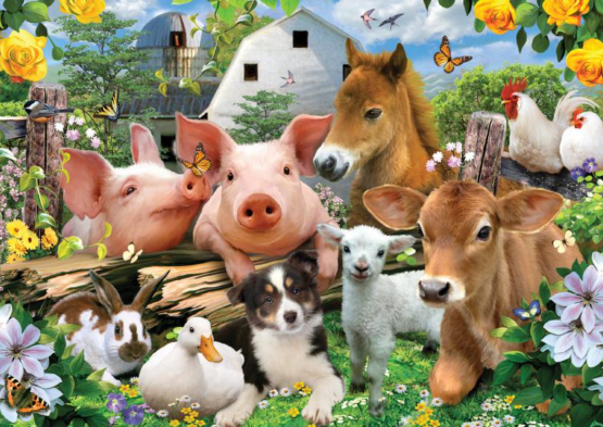 Bondegårdsdyr - Flot fototapet med alle dyrene fra bondegården