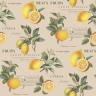 Beige tapet med citroner og tekst | Flot tapet med gule citroner
